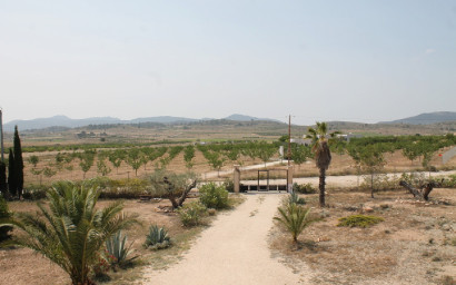 Herverkoop - Landhuis -
Pinoso