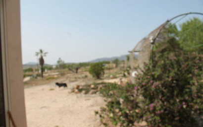 Herverkoop - Landhuis -
Pinoso