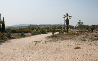 Herverkoop - Landhuis -
Pinoso