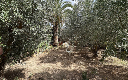 Resale - Semi-detached -
Pinoso