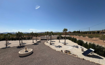 Nieuwbouw - Villa -
Pinoso