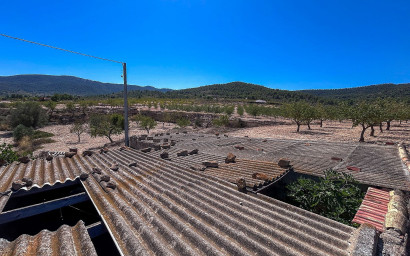 Resale - Finca / Country Property -
Monovar