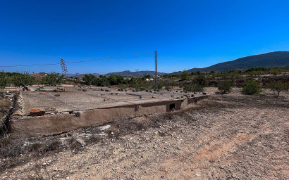 Resale - Finca / Country Property -
Monovar