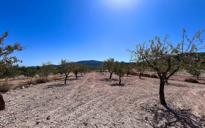 Resale - Finca / Country Property -
Monovar