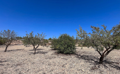 Resale - Finca / Country Property -
Monovar