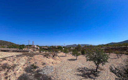 Resale - Finca / Country Property -
Monovar