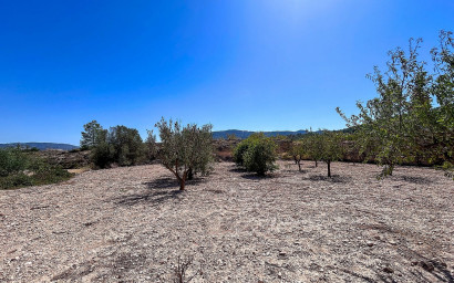 Resale - Finca / Country Property -
Monovar