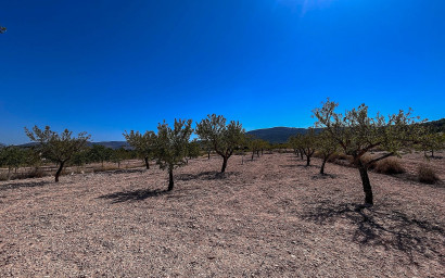 Resale - Finca / Country Property -
Monovar