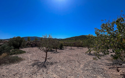Resale - Finca / Country Property -
Monovar
