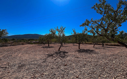 Resale - Finca / Country Property -
Monovar