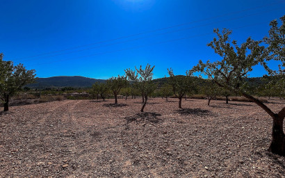 Resale - Finca / Country Property -
Monovar