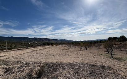 Resale - Villa -
Sax