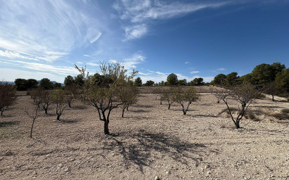 Resale - Villa -
Sax