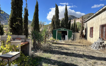 Resale - Finca / Country Property -
El Canton