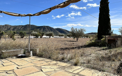 Resale - Finca / Country Property -
El Canton