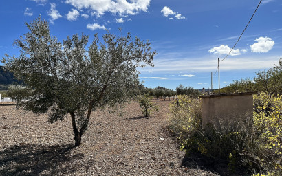 Resale - Finca / Country Property -
El Canton