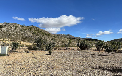 Resale - Finca / Country Property -
El Canton