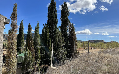 Resale - Finca / Country Property -
El Canton