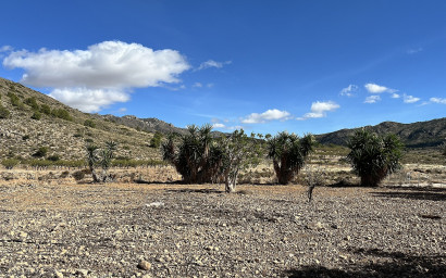 Resale - Finca / Country Property -
El Canton