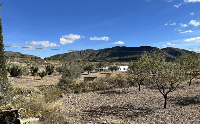 Resale - Finca / Country Property -
El Canton