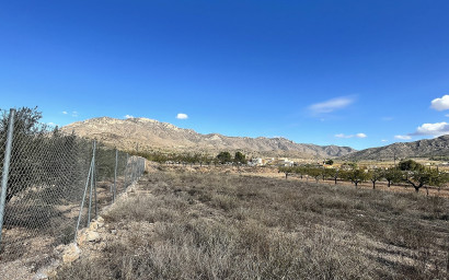 Resale - Finca / Country Property -
El Canton