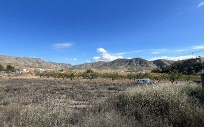 Resale - Finca / Country Property -
El Canton