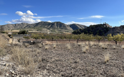 Resale - Finca / Country Property -
El Canton