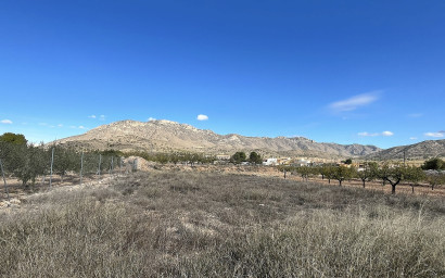 Resale - Finca / Country Property -
El Canton