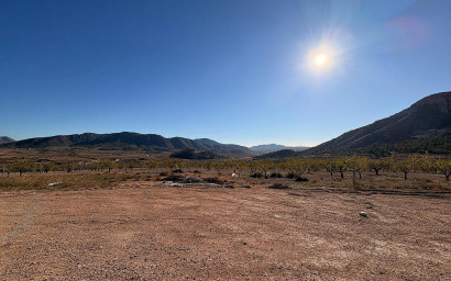 Nouvelle construction - Villa -
El Canton