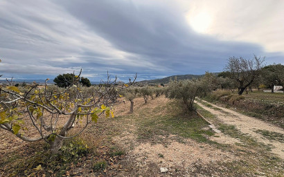 Revente - Terrain -
Onil