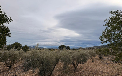 Revente - Terrain -
Onil