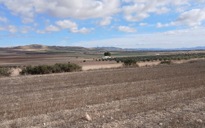 Revente - Terrain -
Yecla