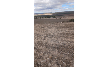 Revente - Terrain -
Yecla