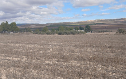 Revente - Terrain -
Yecla