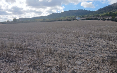 Revente - Terrain -
Yecla