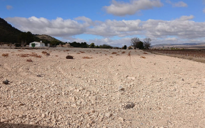 Revente - Terrain -
Yecla