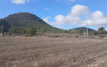 Revente - Terrain -
Yecla