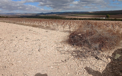 Revente - Terrain -
Yecla