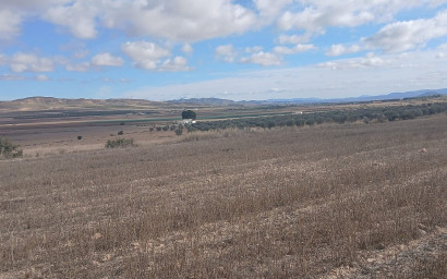 Revente - Terrain -
Yecla