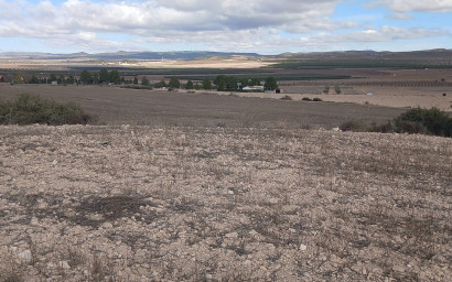 Revente - Terrain -
Yecla