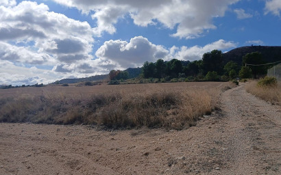 Revente - Terrain -
Yecla