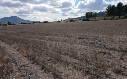 Revente - Terrain -
Yecla