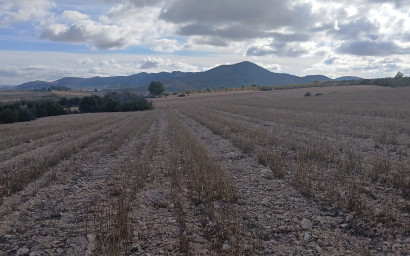 Revente - Terrain -
Yecla