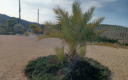 Resale - Villa -
Canada De La Lena