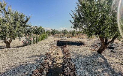 Nouvelle construction - Villa -
Pinoso