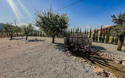 Nouvelle construction - Villa -
Pinoso