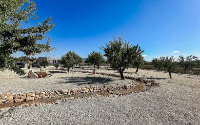 Nouvelle construction - Villa -
Pinoso