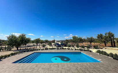 Nouvelle construction - Villa -
Pinoso