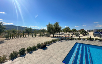 Nouvelle construction - Villa -
Pinoso