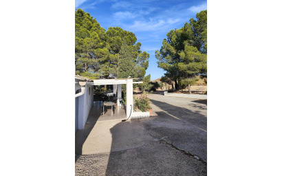 Resale - Finca / Country Property -
Yecla